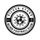 Silver Stars Logo